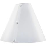 V-Flat World The Light Cone X Karl Taylor - Medium