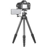 Leofoto Ranger LS-255C + LH-30