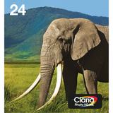 Epson 24 Multipack 6 Colours Easymail C13T24284510