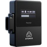 Atomos StudioSonic Shotgun Mic - ATOMSSMC01