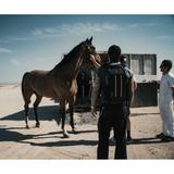 PolarPro Roadrunner 16l Backpack