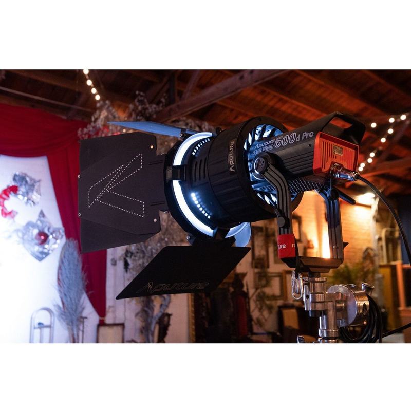 Aputure F10 Barn Doors bowens mount