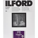 Ilford MGRCDL44M 21x29.7cm 100