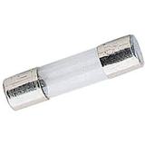 Elinchrom 10 Zekeringen / Fuses F8A 5x20mm
