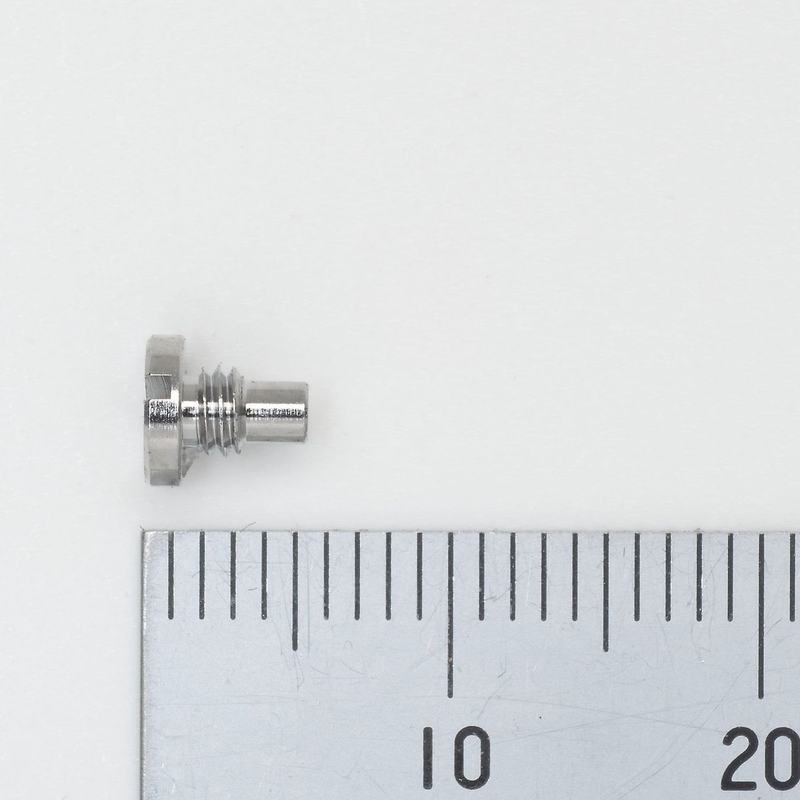 BORG 1601 M3P0.5-6m