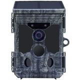 Stealth Gear Fox Solar 4K WiFi Wildcamera