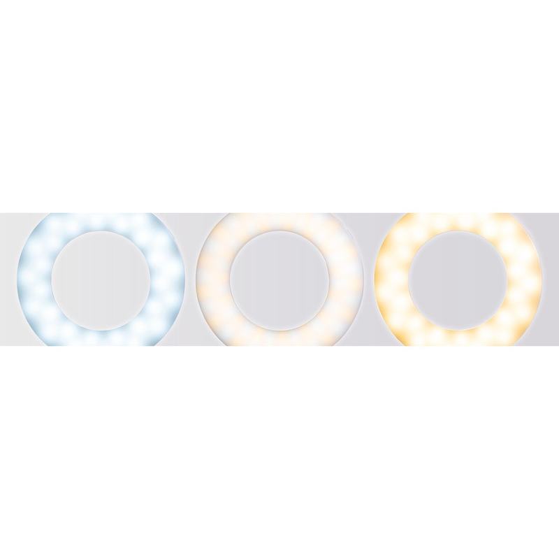 Dörr Smartphone LED Selfie Ringlicht SLR-9