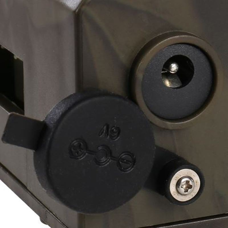Braun Wildcamera BLACK300