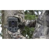 Stealth Gear Fox Solar 4K WiFi Wildcamera